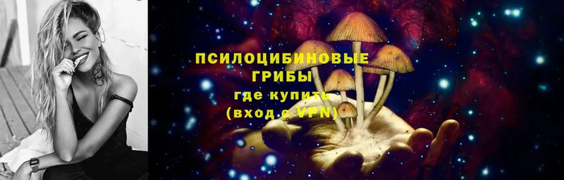 купить  сайты  Железногорск-Илимский  Галлюциногенные грибы GOLDEN TEACHER 